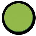 GSO 1.25" #56 Green Filter